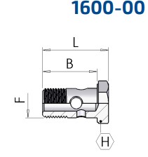 Hohlschraube BSP 1/2\'\'