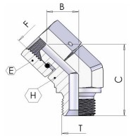 Adapter 45° M/F 60° BSP 1''